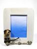Picture Frame - Dog