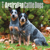 Australian Cattle Dogs Calendar 2015