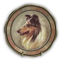 Plate 3" Collie