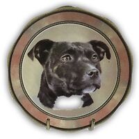 Plate 3" Staffordshire Bull Terrier