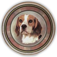 Wall Plate 8" Beagle