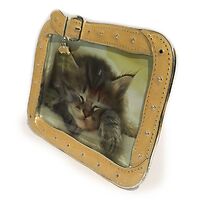 Photo Frame - Cat Collar