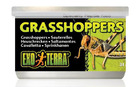 Exo Terra Canned Wild Small Male Grasshoppers
