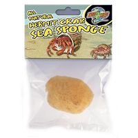 Hermit Crab Sea Sponge