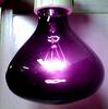 Oz Purple Night Heat & Light Globe Big - 75 watt